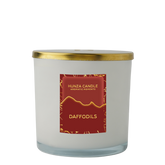 Daffodil 3 Wick Luxury Candle