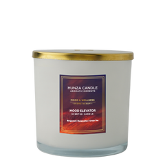 Mood Elevator 3 Wick Luxury Candle
