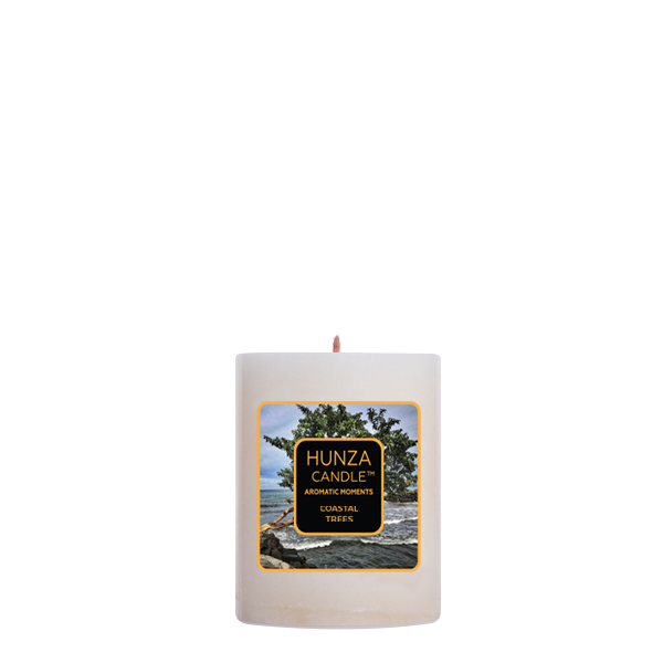 Coastal Trees Pillar Candle 2.4x3