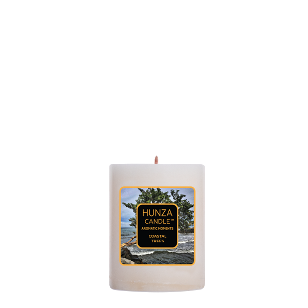 Pillar-Candles-2x3-Coastal-Trees.png