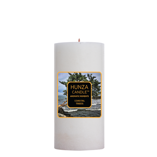 Pillar-Candles-2x5-Coastal-Trees.png